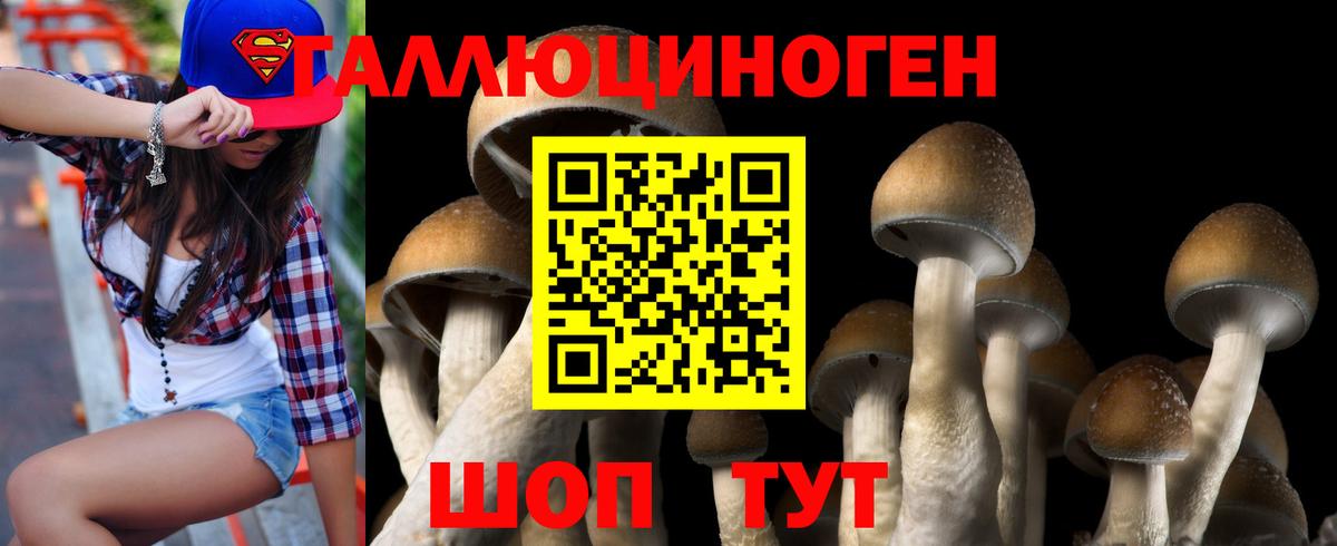 Галлюциногенные грибы Psilocybe Кумертау